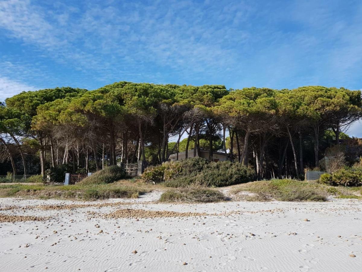 Mimosa Bilocale Cala Liberotto Exteriér fotografie