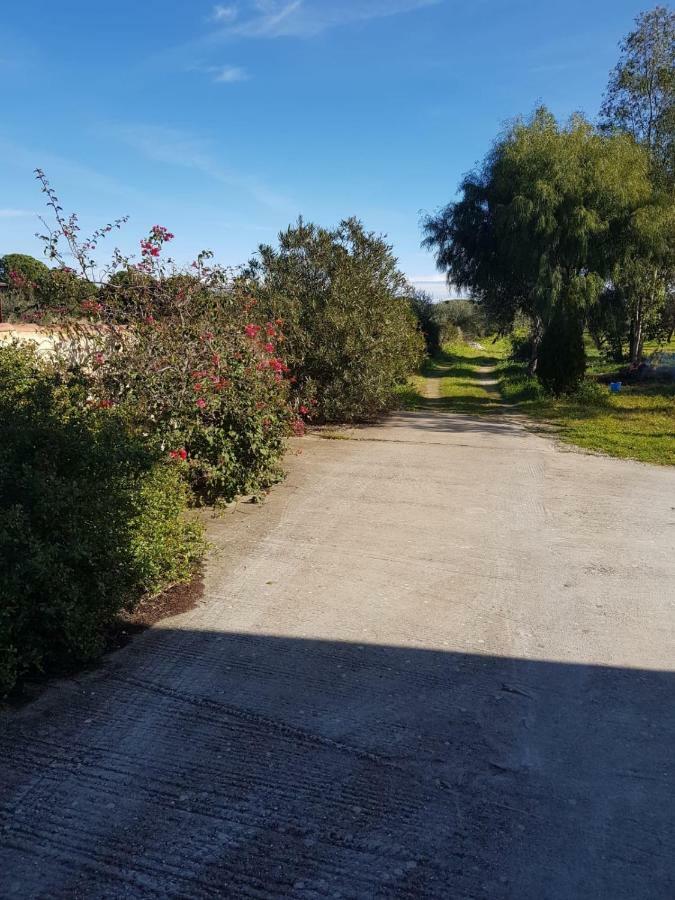 Mimosa Bilocale Cala Liberotto Exteriér fotografie